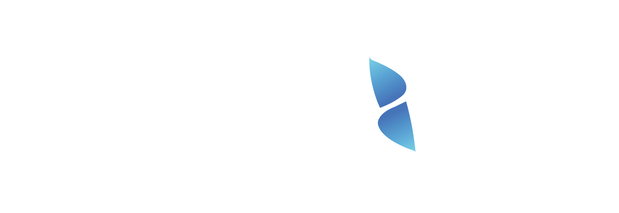 Lead2b